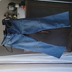 American Eagle Hi-Rise Artist Flare